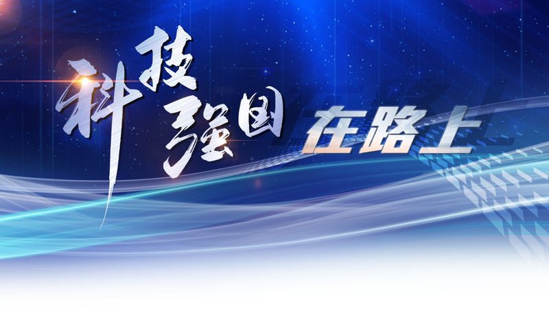 物流与供应链管理：本质区别与关键要素